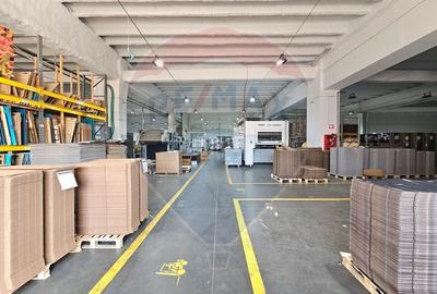 Spațiu industrial, de 5,000 mp, în Gară - 5