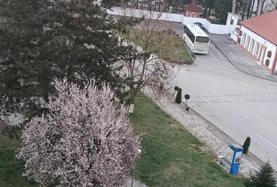 Garsonieră decomandată în Vața de Jos - 1