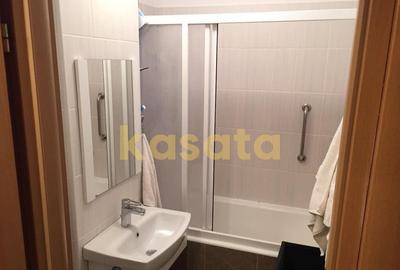 Apartament 2 camere de inchiriat Domenii Kiseleff - 10