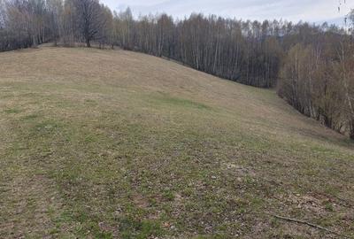 Spațiu comercial, în Tranișu - 1