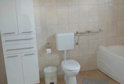 Vand, schimb casa in Ineu, jude?ul Arad - 2