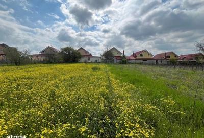 Spațiu comercial, în Malu Mare - 7