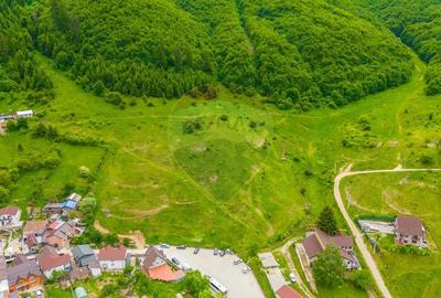 Teren Construcții intravilan de 8529 mp, în Bunloc - 6