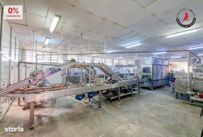 Spațiu comercial, de 2,234 mp, în Frătești - 11