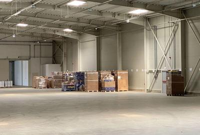 Hala complet echipata, nou construita langa aeroportul interna?ional Traian Vuia - 9