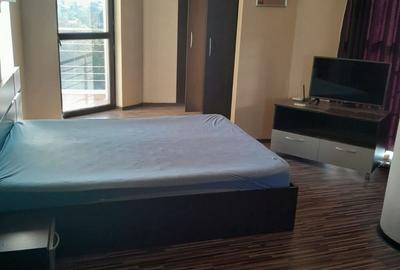 Garsonieră decomandată în City Park Mall - 6