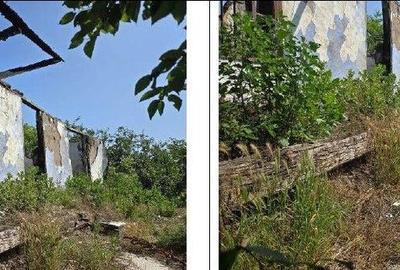 Casa si teren Cucuruzu, ID: R2609648