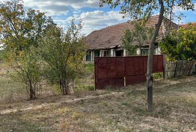 Casă cu 4 camere cu Teren 1480 Mp în Hodoni - 3