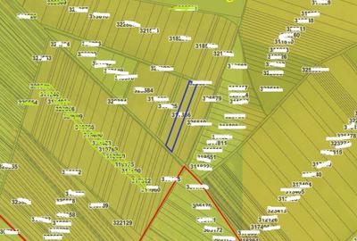 Teren extravilan- Com. Siria, jud. Arad - 8
