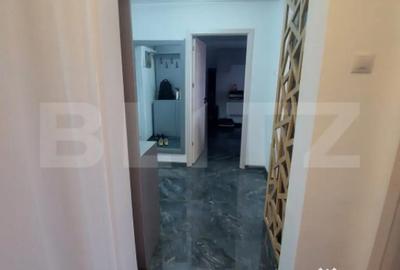 Apartament cu 2 camere decomandat, mobilat în Brazda lui Novac - 2