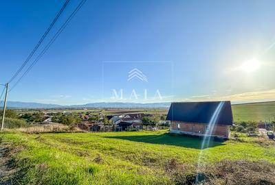 Teren de 874 mp cu vedere panoramica si proiect pentru casa, Sura Mare - 3