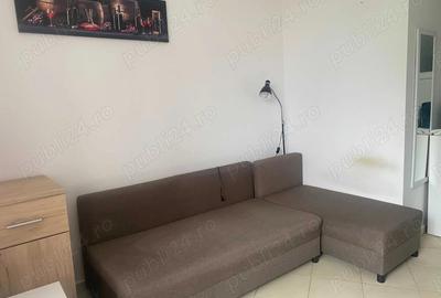 Garsoniera de vanzare, 20 mp, zona Lipovei-Dedeman - 7