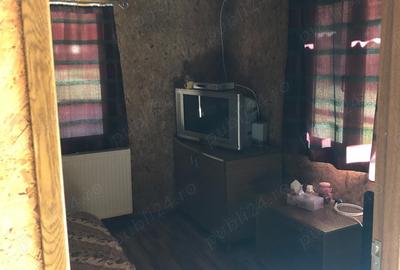 Teren de 5500 mp, în Cerna-Sat - 3