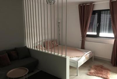 Garsonieră decomandată în Nord - 2