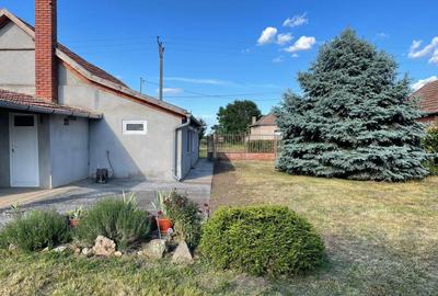 Casă cu 2 camere în Iratoșu - 8