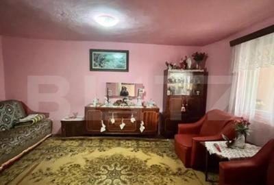 Casă cu 4 camere cu Teren 4600 Mp în Central - 3