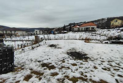 Proprietate cu 2 case, una fiind traditionala, Dezmir - 19