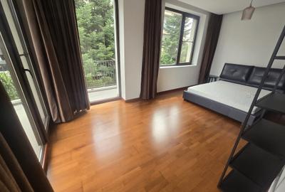Apartament cu 3 camere decomandat, mobilat în Iancu Nicolae - 7