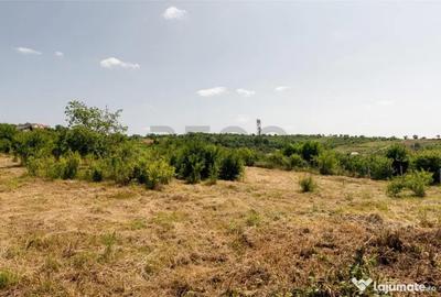 Teren de 1200 mp, în Paleu - 17