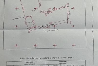 Domnesti- Curtea Domneasca- Radului,veciatati-case,utilitati langa,urbanism - 3