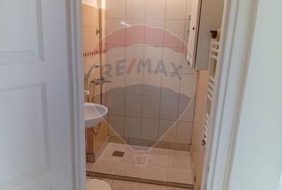 Apartament cu 2 camere semidecomandat, mobilat în P-ța Romană - 11