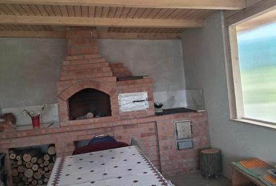 Casă cu 2 camere cu Teren 3300 Mp în Bozieni