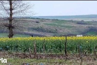 Teren de 10000 mp, în Șipote - 9