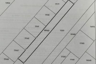 De vânzare teren 400 mp + cotă drum servitute - Domnești, Ilfov - 4