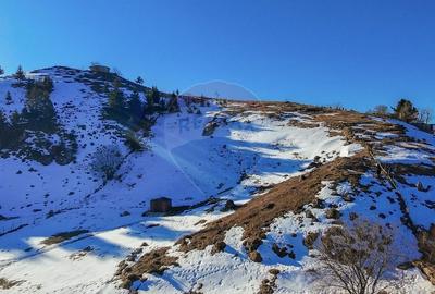 Teren Construcții intravilan de 3756 mp, în Șirnea - 11