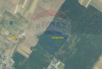Teren 10,000mp Afumati | Padure | Soseaua Petrachioaia Teren 10,000mp Afumati | Padure | Soseaua Petrachioaia - 1