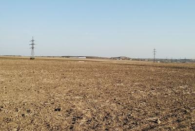 Teren pentru Parc Logistic, hale - Ovidiu - 4