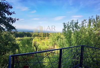 Casă cu 3 camere cu Teren 9500 Mp în Valea Călugărească - 3