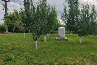 Casă individuală cu 4 camere cu Teren 4800 Mp în Crețești - 4