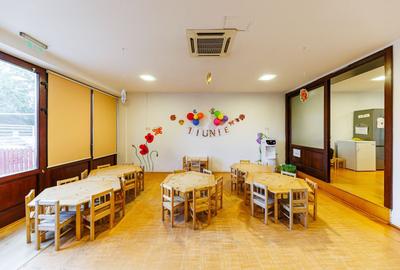 Imobil multifuncțional în zona Bucovina - 3