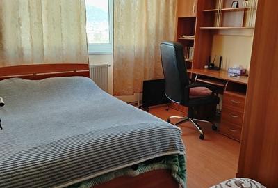 Apartament cu 2 camere decomandat în Depozitelor - 8