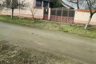 Casă cu 3 camere în Secusigiu - 3