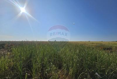 Teren de vanzare 1,070 mp Ovidiu / Academia Hagi - 7