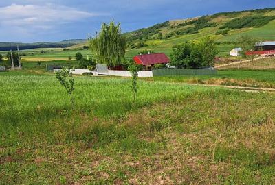 Teren de 2900 mp, în Ion Creangă - 1