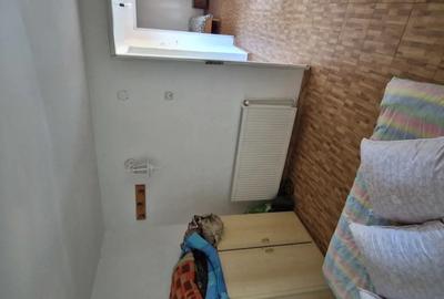 Cabana de vanzare, dealul viilor, Ineu - 6