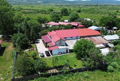 Casa cu teren si sala de evenimente de vanzare in Odobesti - 6
