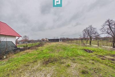 Casă individuală cu 12 camere cu Canalizare în Băile 1 Mai - 58