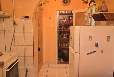 Apartament cu 2 camere semidecomandat în Gojdu - 10