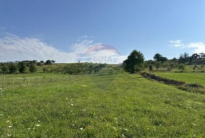 Teren Construcții intravilan de 8300 mp, în Negrești (Dobreni) - 2
