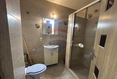 Apartament cu 1 camere de inchiriat in zona Vasile Alec... - 2