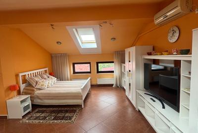 Inchiriere 2 camere Dorobanti Inchiriere 2 camere Dorobanti - 10