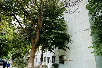 Apartament de 2 camere - Loc de parcare - 66.000 euro - 9