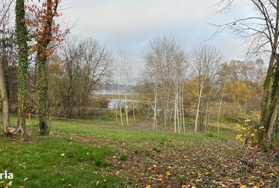 Teren de 8000 mp, în Snagov