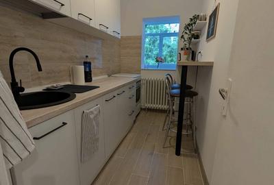 Garsoniera 11 min M Timpuri Noi, Tineretului DB1350 - 5