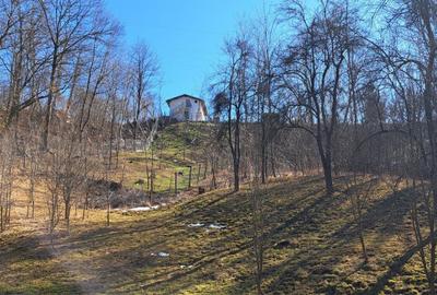 Spațiu comercial, în Podul Lung - 8