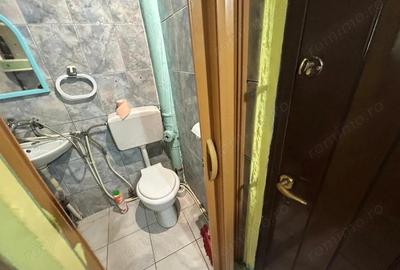 Garsonieră în Buziașului